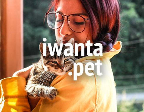 iwanta.pet